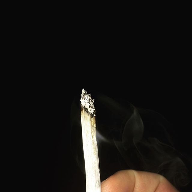 friedadyal's tweet image. chiefen it