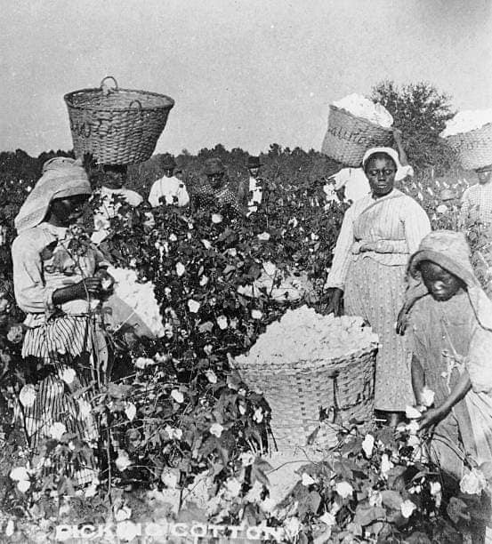 factosdabanda's tweet photo. Você precisa sempre de se localizar na História, porquê que dia 8 de Março é dia Internacional da Mulher? Porquê que é Feriado? https://t.co/HCJN1V9IEx
