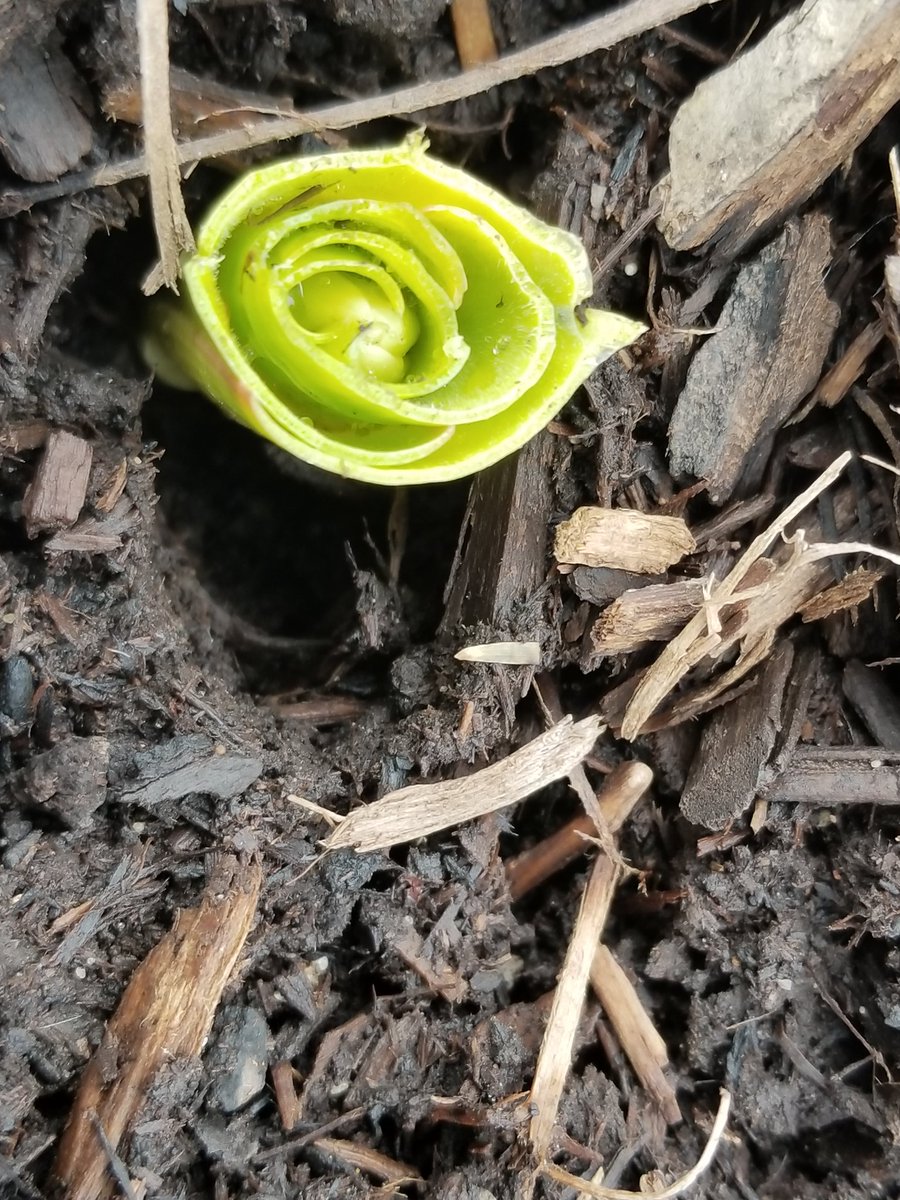 The struggle is real. March 20-1st day of Spring can't come soon enough.