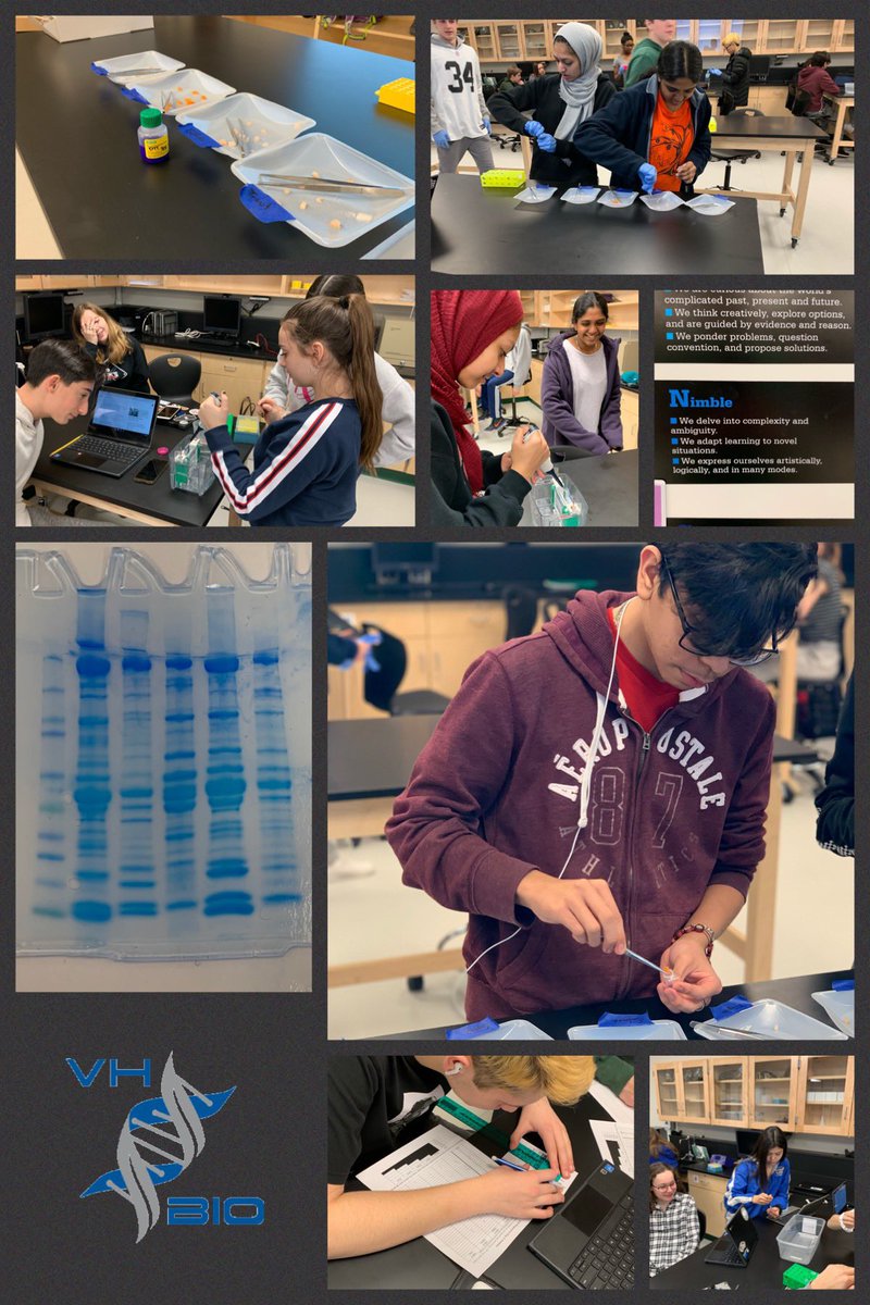 Chris Wolf tweet media