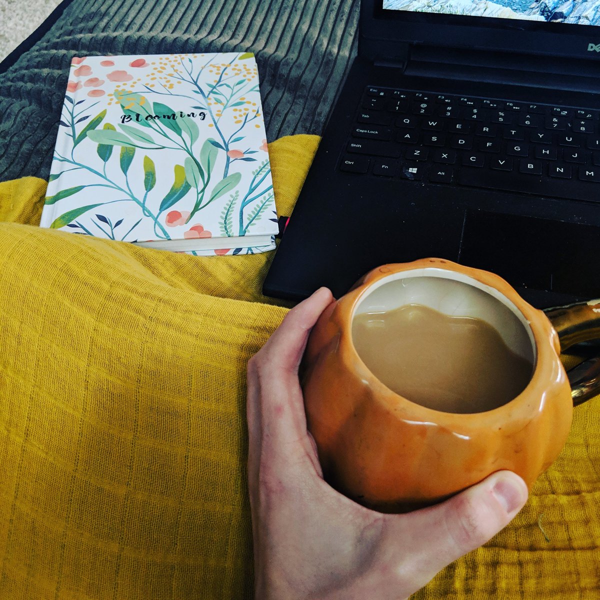 JenniferPeyto10's tweet photo. #naptime #naptimehustle #momlife #workathomemom #blogger #blogmama #newpost #pumpkinmug https://t.co/X9dD5KbjgR