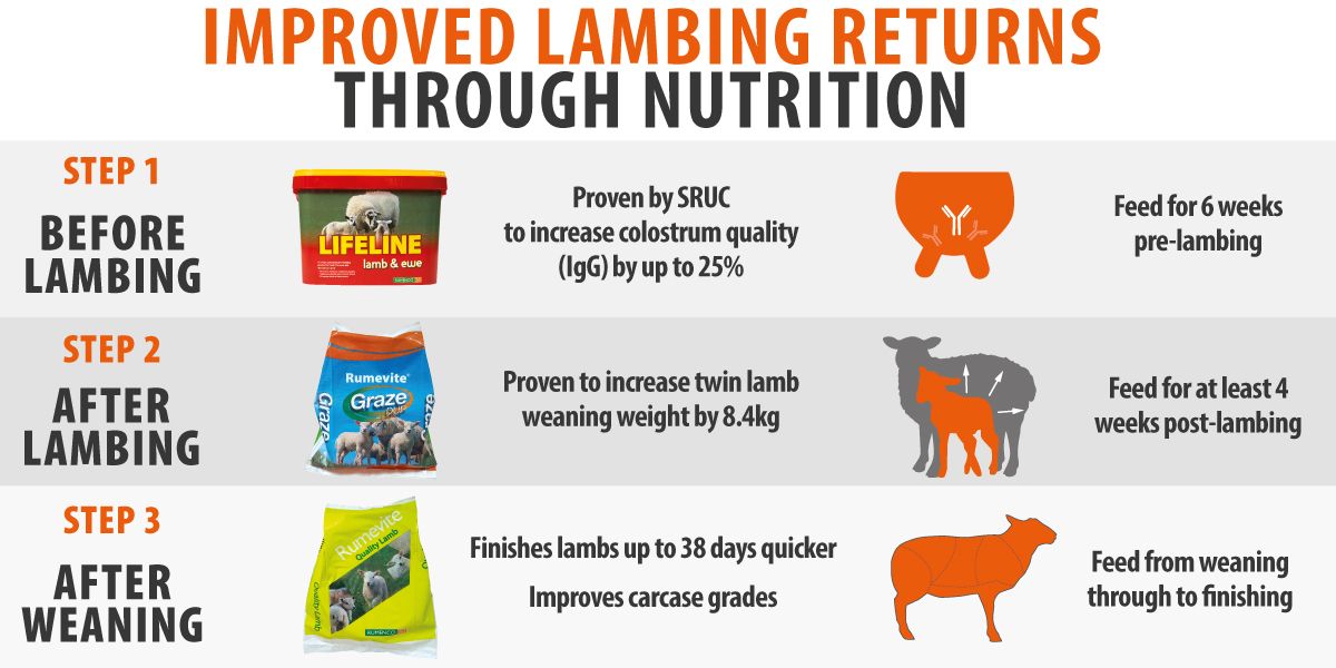 Rumenco_ltd's tweet photo. Studies carried out over two lambing seasons in association with @SRUC showed that when feeding #Rumevite Graze DUP as a follow-on supplement to #LIFELINE Lamb & Ewe, twin-bearing ewes produced 8.4kg more lamb weight at weaning compared to those receiving no supplementation. https://t.co/EejkULepp8