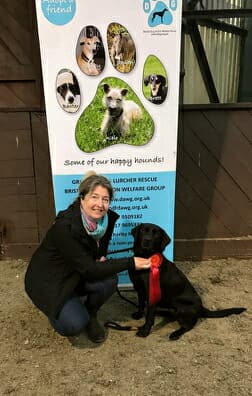 katherinepartis's tweet photo. Not a Crufts qualifier, but a very proud moment for Jazz and I at DAWGS Bristol fund raiser. #crufts https://t.co/1oEAHaG1CA