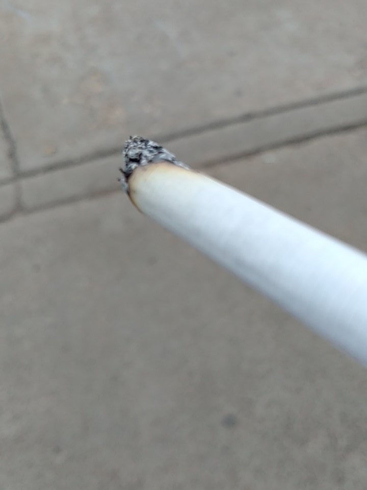 normalguy29's tweet image. cig time