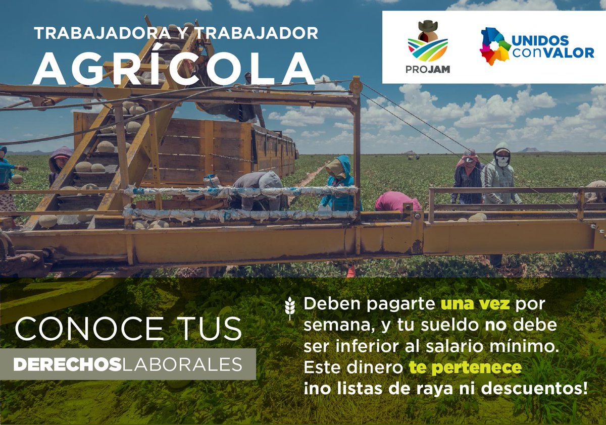 GobiernoEdoChih's tweet image. Entérate de tus derechos como persona jornalera agrícola migrante.
Conoce el trabajo que 20 dependencias realizan para proteger tus derechos laborales aquí: bit.ly/PROJAM19

#ProJAM
#UnidosConValor
@stpschihuahua