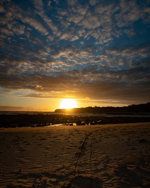 LUnlocked's tweet photo. Sunset at the beautiful Cape Paterson 😍
.
.
.
#unlockyouradventure #familytravel #exploretocreate #exploringaustralia #seeaustralia #visitbasscoast #visitinverloch #getoutandexplore #australiagram #takemetoaustralia #canonaustralia #canon77d #travelw… https://t.co/mtbPqwvsSU https://t.co/GsycdPwz9s