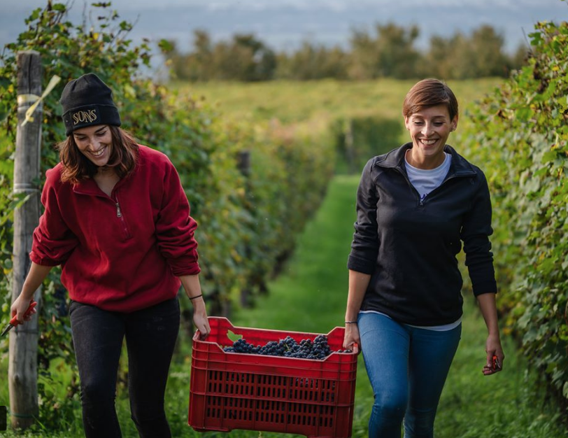 Cavinona's tweet photo. A big shout out to all of the incredible women wine makers we are so lucky work with. Grazie!
.
.
.
.
#internationalwomensday2019
Ph. @LAMESMA @CreamWineCompany @Brandini  @diariogoloso.it @Dwight Casimere/Dwight The Wine Doctor @patriciathompson @capolinoperlingieri @Winestories https://t.co/U4knbRk9Rs