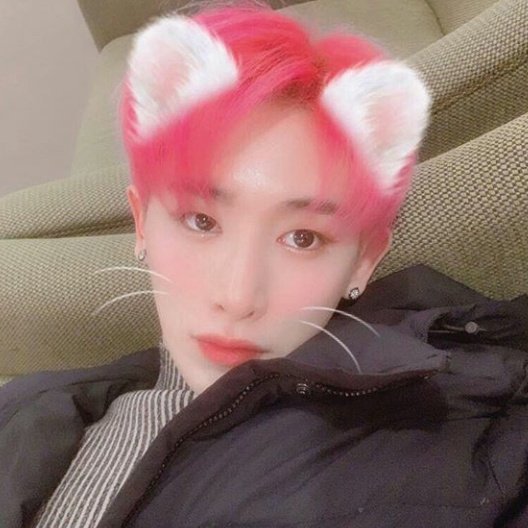 #NewProfilePic

Fox noises
