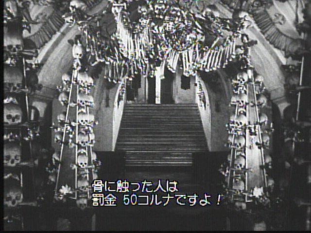 트위터의 裏庭映画保存会 님 コストニツェ 1970 ヤン シュヴァンクマイエル監督の短編 フス戦争没者やペスト禍死亡者を弔う世界最大の納骨堂は人骨製大聖堂がデッドテックバロック空間 案内のオバチャンが 骨に触ったら罰金 落書きしないで と観光客に 트위터의 裏庭映画保存会 님 コストニツェ 1970 ヤン シュヴァンクマイエル監督の短編 フス戦争没者やペスト禍死亡者を弔う世界最大の納骨堂は人骨製大聖堂がデッドテックバロック空間 案内のオバチャンが 骨に触ったら罰金 落書きしないで と観光客に