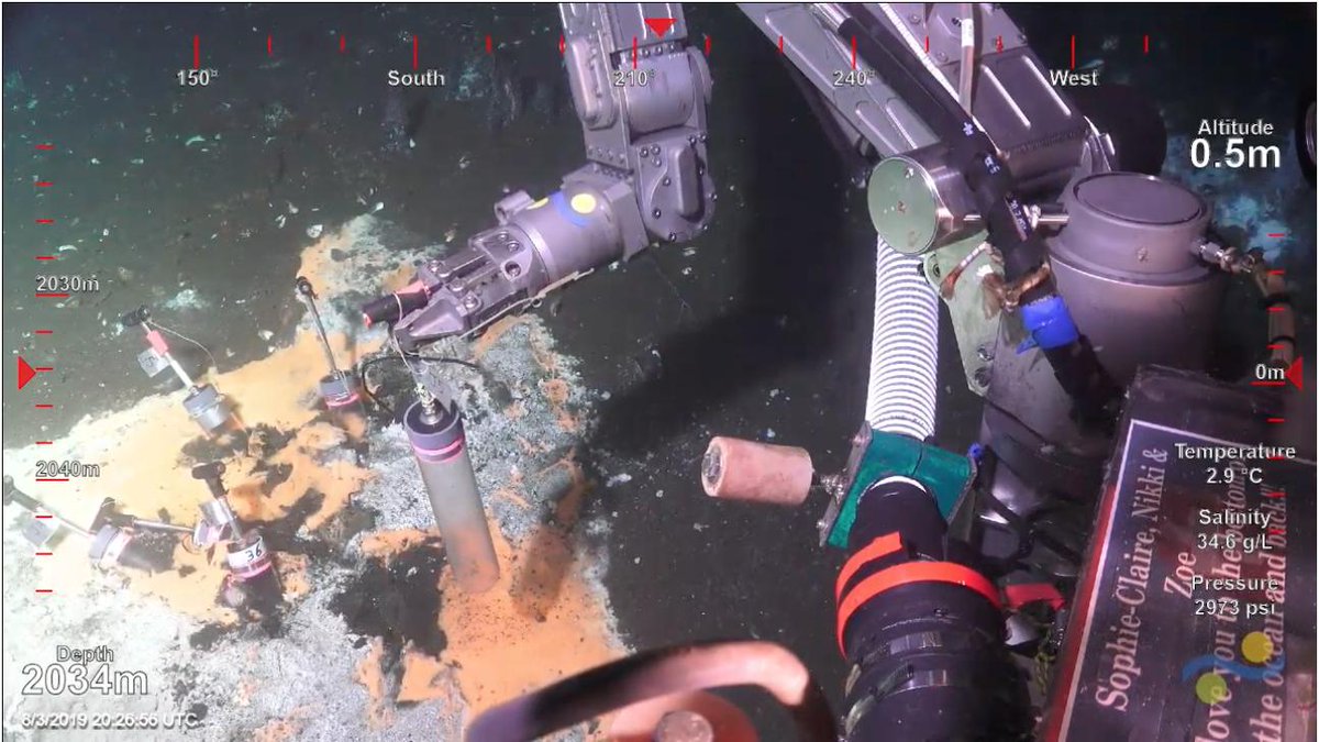 Due to the weather, we had a shorter dive today. We will be diving again tomorrow, streaming it live to both YouTube and Facebook. If you can't wait until then, check out #MicrobialMysteries or our website schmidtocean.org for the latest #Falkor updates!