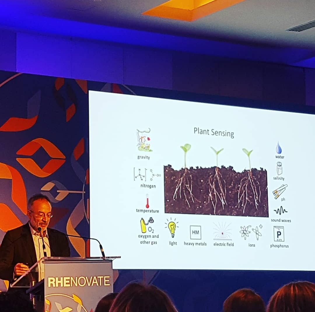 Emanuela Praino tweet media