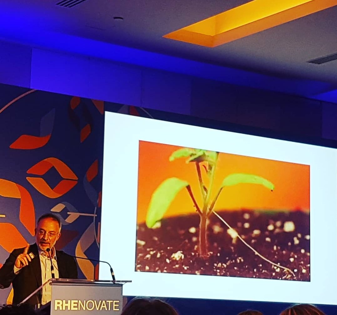 Emanuela Praino tweet media