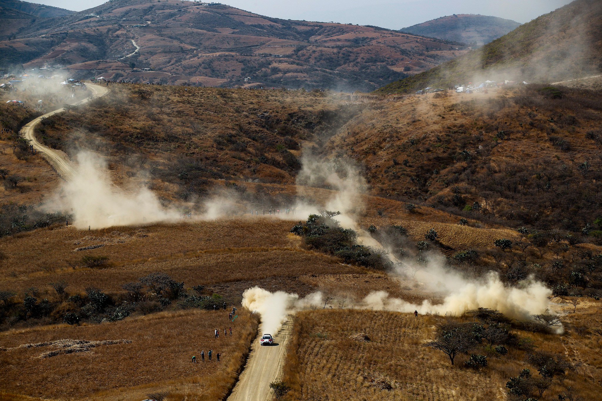 Rally de México 2019 - Página 2 D1KytQ-XgAAxzOf