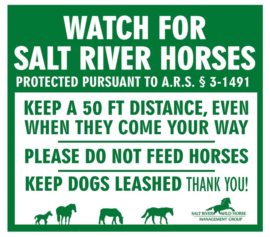 srwhmg's tweet photo. 🚨🚨For immediate release: 🚨🚨
Salt River Wild Horse Management Group sets precedent humanely managing wild horses, but needs help from the public. 

Read full here:
https://t.co/tKN2L6e5LM https://t.co/DL06AJvgei