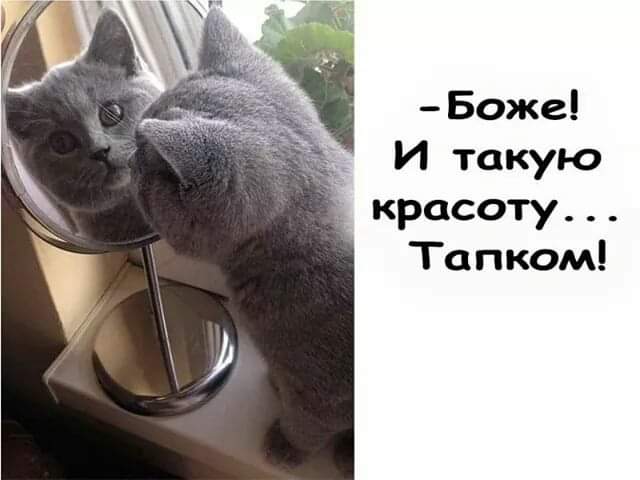 Милая (@juliya257) on Twitter photo 