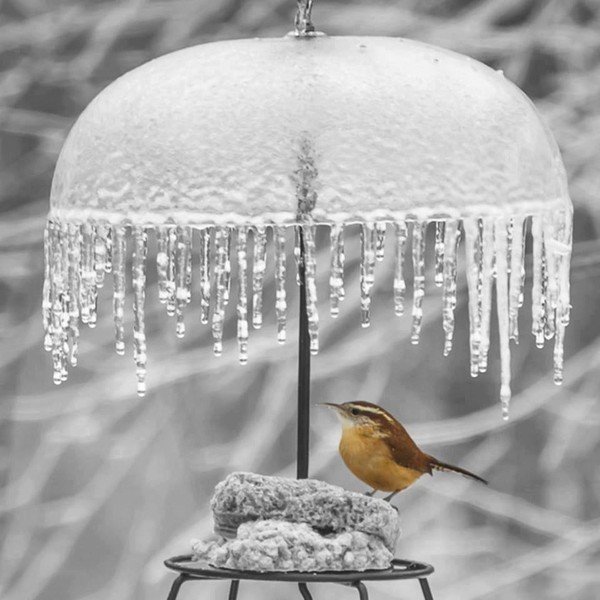 Милая (@juliya257) on Twitter photo 