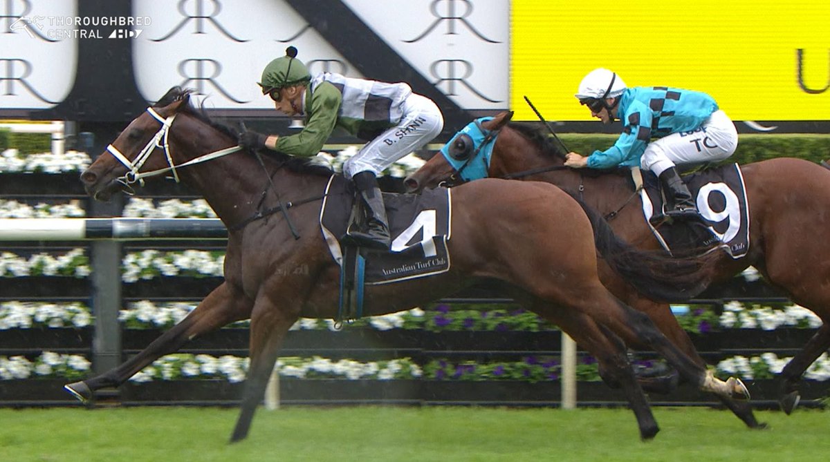 Julian Blaxland Bloodstock 🇦🇺 (@julianblaxland) on Twitter photo Super effort BELLEVUE HILL to run 2nd in Group 2 Todman Stakes for <a href="/GaiWaterhouse1/">Gai Waterhouse AO</a> & Adrian Bott at his 2nd start. The winner Yes Yes Yes looks v smart indeed. Bellevue Hill we bought with Gai & Adrian from breeder <a href="/AquisFarm/">Aquis Stallions</a> <a href="/inglis_sales/">Inglis</a> Easter Yearling sale for $400k. Super effort BELLEVUE HILL to run 2nd in Group 2 Todman Stakes for <a href="/GaiWaterhouse1/">Gai Waterhouse AO</a> & Adrian Bott at his 2nd start. The winner Yes Yes Yes looks v smart indeed. Bellevue Hill we bought with Gai & Adrian from breeder <a href="/AquisFarm/">Aquis Stallions</a> <a href="/inglis_sales/">Inglis</a> Easter Yearling sale for $400k.