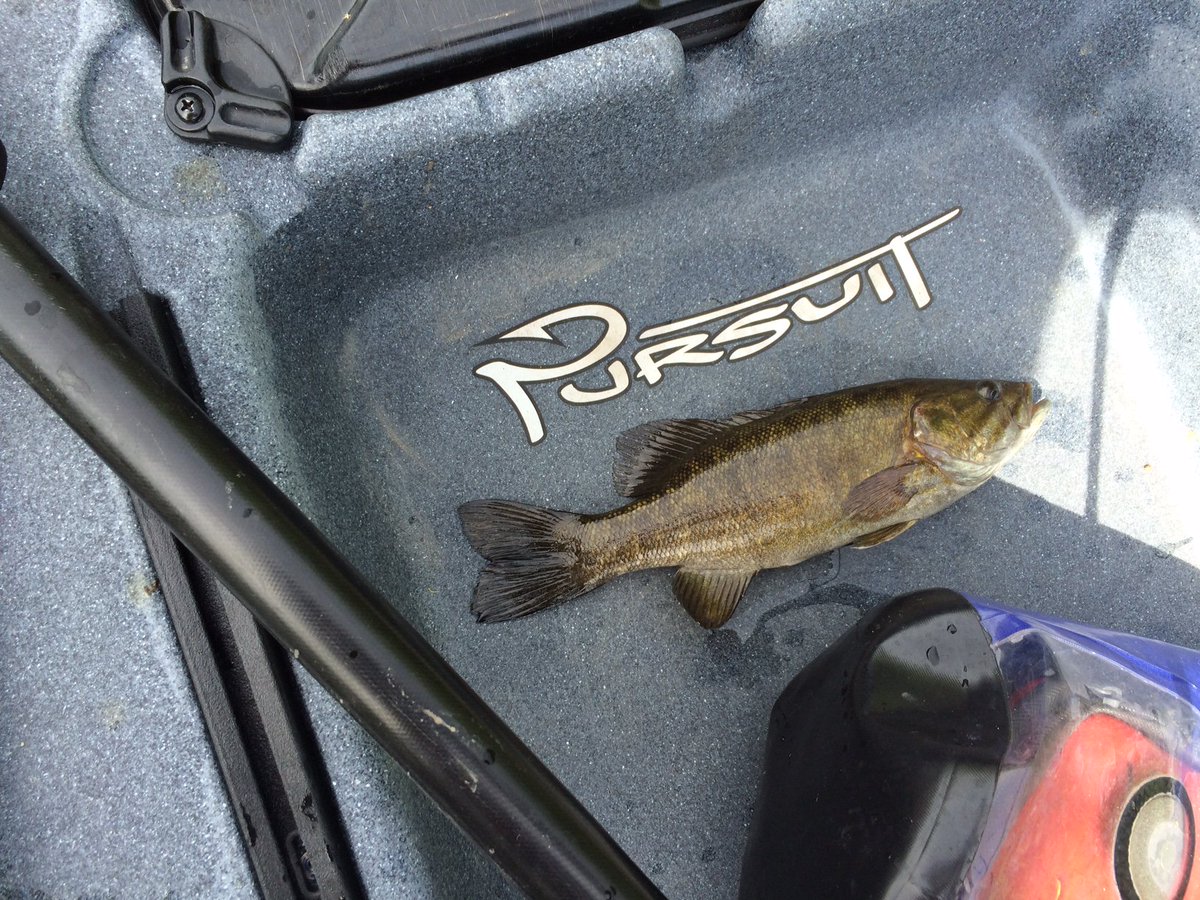GearUpHeadOut's tweet photo. Paddle N' Fin Podcast hosts Brian Schiller and jay Randall sat down with local NuCanoe Pro Staffer and Kayak Bass League founder Alan Wiedmeyer on a recent podcast. You can check it out here: https://t.co/m0zI73WiL8

All of them are doing seminars at the store later this spring! https://t.co/W7FU7pu8Nw