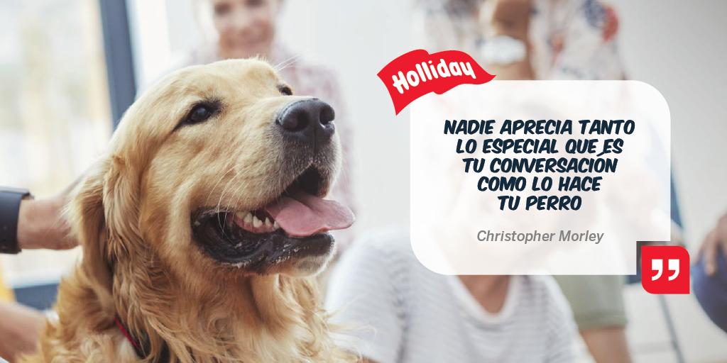 LabHolliday's tweet photo. #Frase #Animales #Mascotas #Perros #Dog #DogsLovers  #Gatos #Cats #InstaDog #InstaCat #Laboratorio #Veterinarios #Veterinaria #LabHolliday https://t.co/ubDTTYbn1J