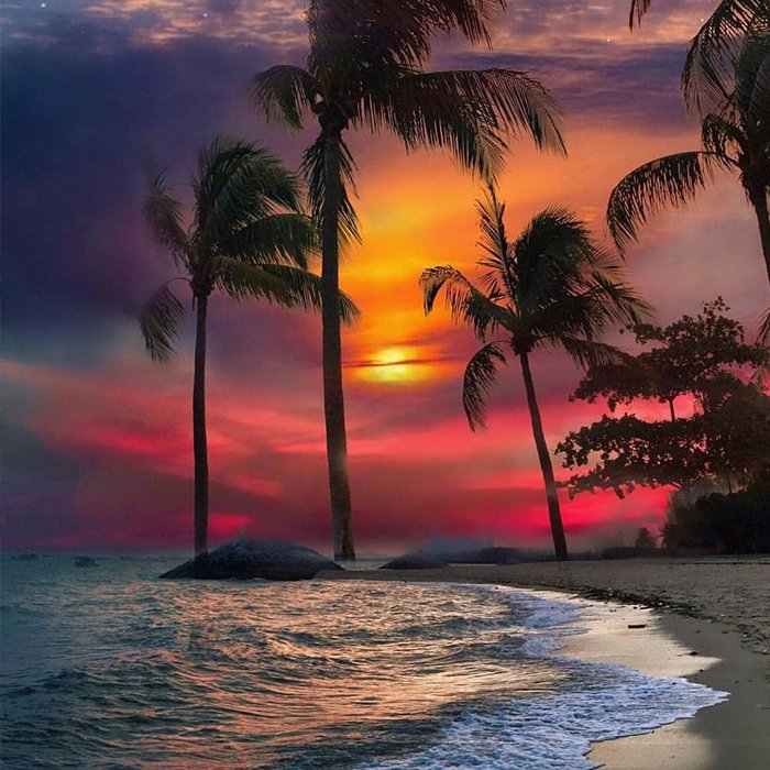 tropicalitytips's tweet photo. Pic of the Day…Evening Vibes 🌤️🌴
https://t.co/HUxZ0VjKS0
#sunsetbeach #sunsetfriday https://t.co/8eGdvNlDm3
