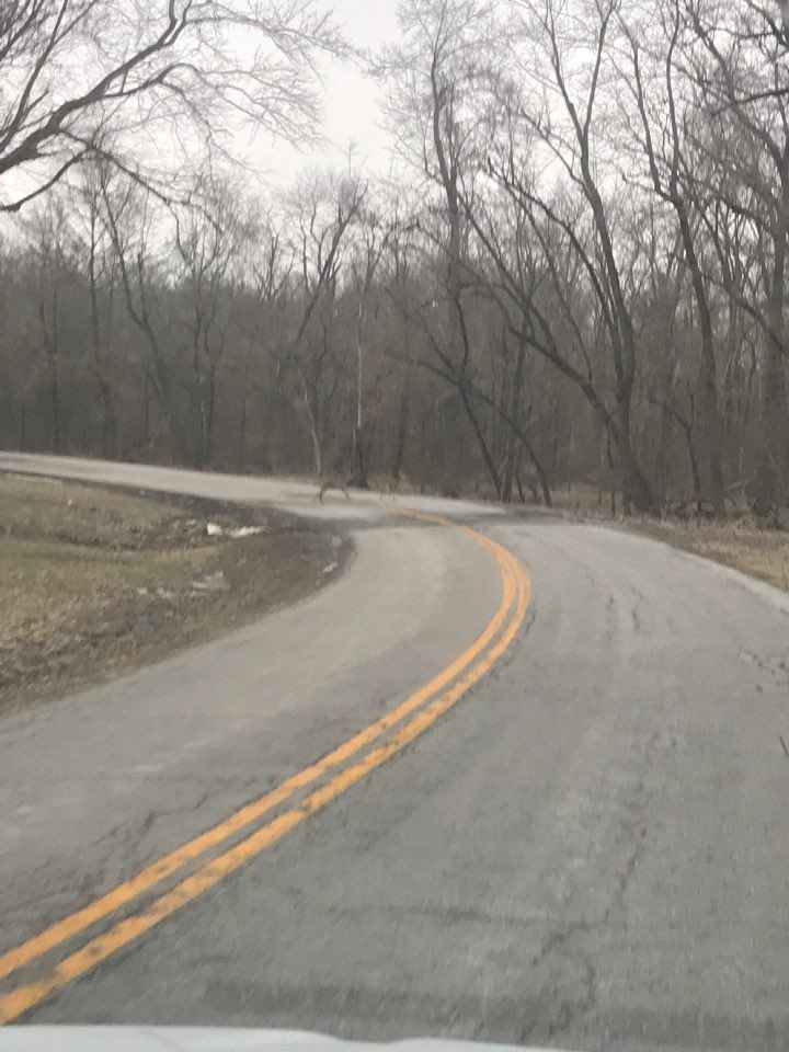 linn_mab's tweet photo. On our way to our site, we drove through some of the state parks and got to see some deer! https://t.co/bFs0X7rAVa