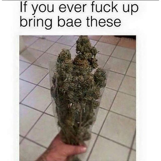 Ashliefugate's tweet photo. Give me this if you ever date me and I'm pissed please https://t.co/uNDdJSnf3X