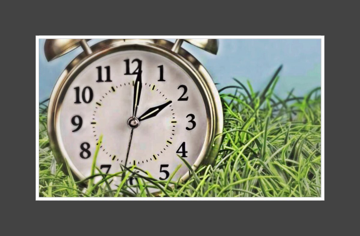 TheCanterfield's tweet image. Spring Forward This Sunday. #DaylightSavingsTime #TimeChanges #SpringForward