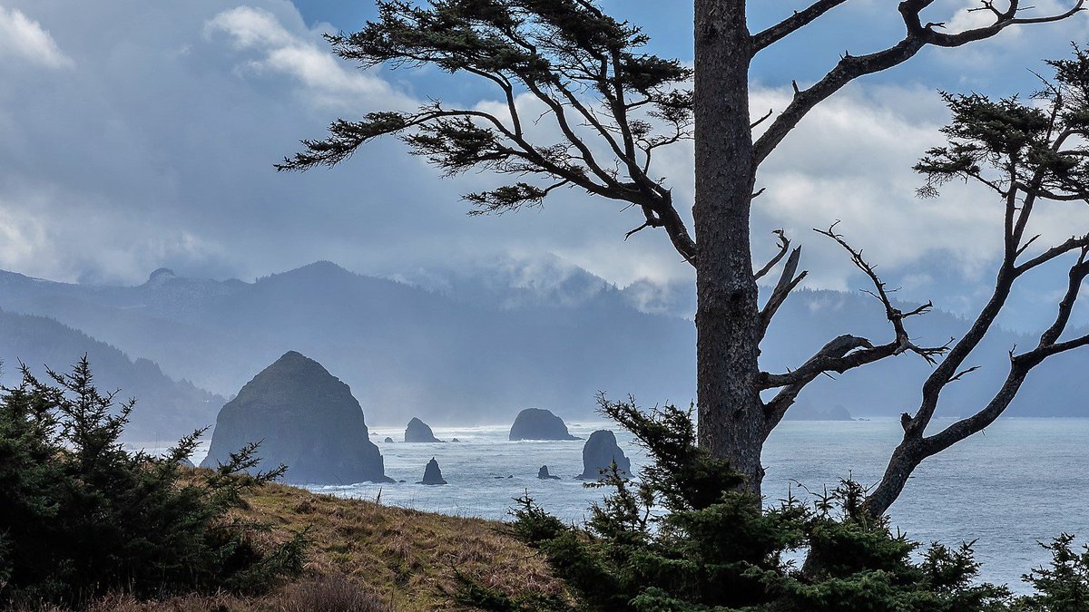 OldManNYC's tweet image. View of #HaystackRock and #CannonBeach from #Ecola State Park 
@ORStateParks  
#ThePhotoHour #StormHour