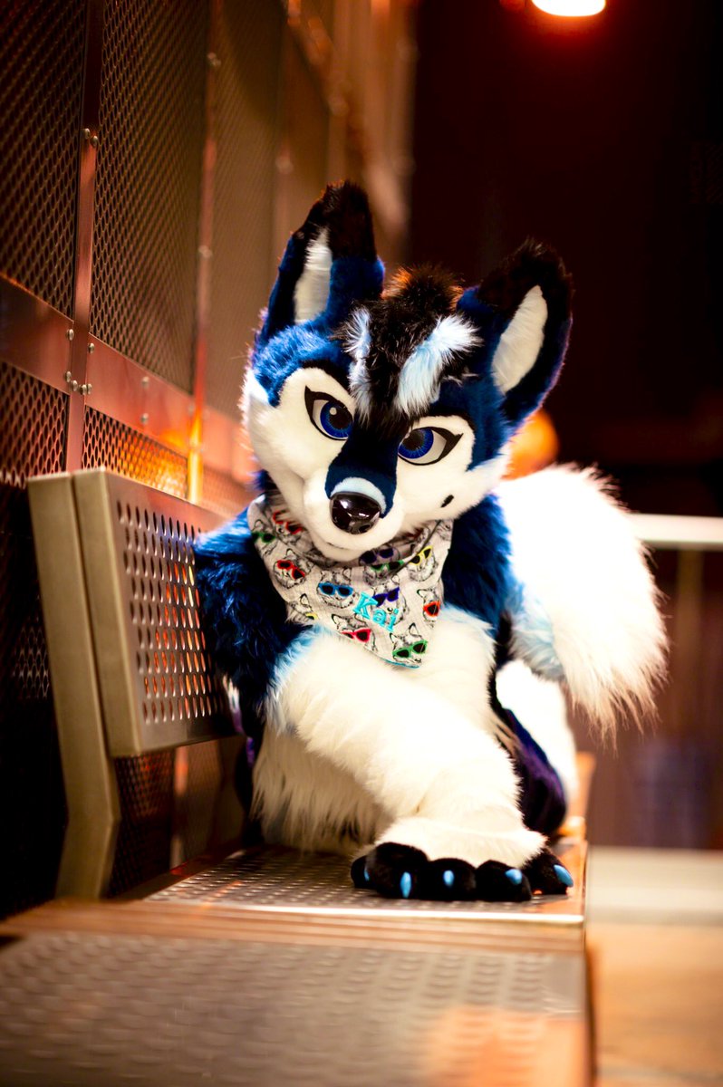 Look into my eyes boys and girls and pay very close attention~ It’s okay, come closer... no need to be shy. 😉💙 #FursuitFriday 

📸: <a href="/Randorn/">Randorn Canis</a>