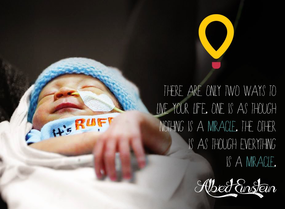 Dance Marathon WMU tweet media