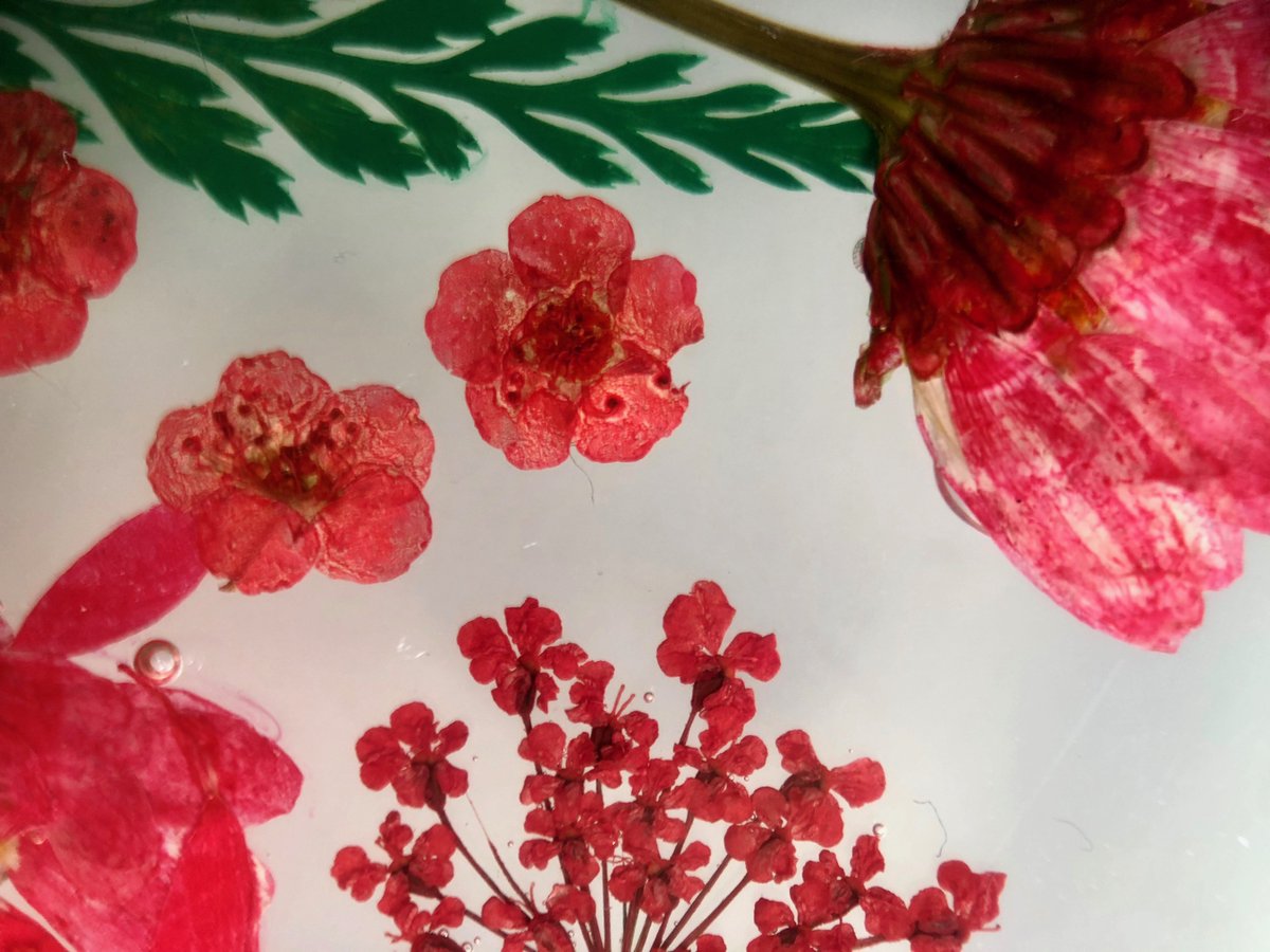 EXPANDCE's tweet image. Happy International Women’s Day! 
⠀⠀⠀⠀⠀⠀⠀⠀⠀
🌸Pictured: Beautiful real flower details from one of our brands @getrecover floral case collection