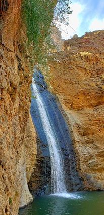 InnerJoy's tweet photo. Courage is not the absence of despair, it is, rather the capacity to move ahead in spite of despair.... Ron May
https://t.co/GuLDlw2nJ9 https://t.co/2WMyFy96sW