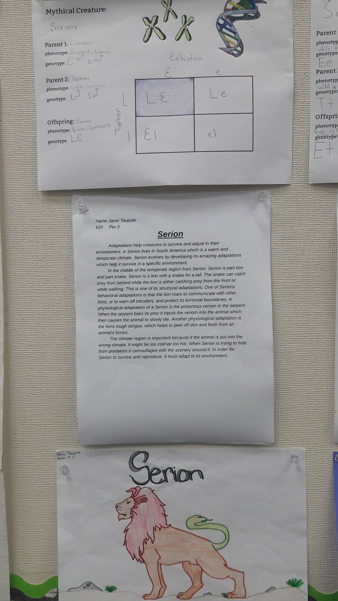 Integrating Greek mythology, ELA, and science. Ss completed their mythological creature punnett square, and then wrote about them. @Estacion6th <a href="/Mrs_McKenzie322/">Crystal McKenzie</a> #FSA_FUESD