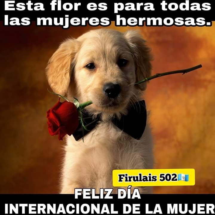 OzorioCano's tweet photo. #DiaDeLaMujerconscarlet https://t.co/2Cn8VaR2J8