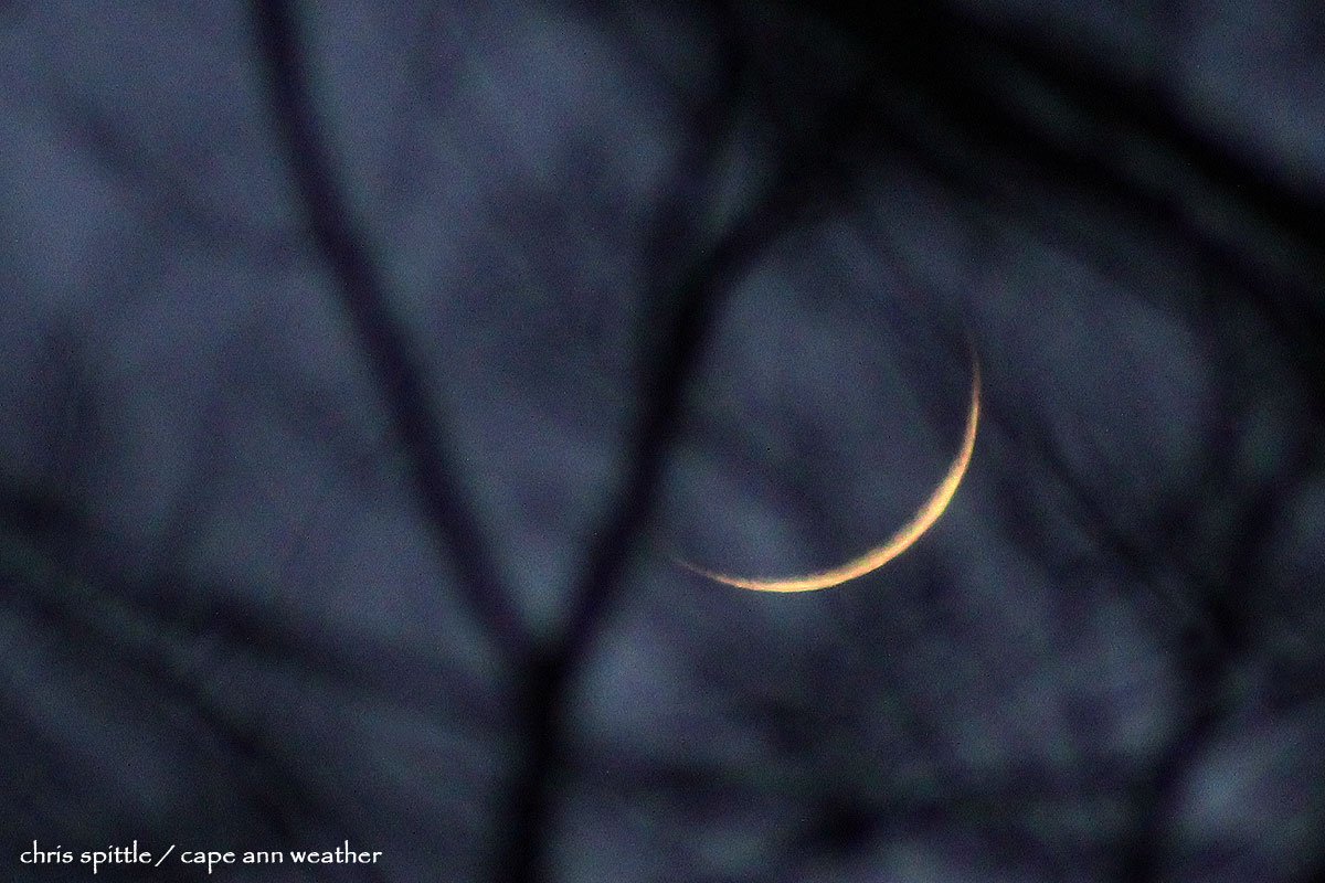 CapeAnnWeather's tweet photo. 🌛 The 4% waxing crescent lunar servant orb tonight, in the sticks, thru the twigs...
#GrotonNH #moon https://t.co/OKhsam0GSj