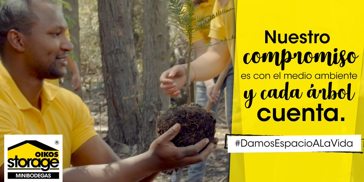 oikosstorage's tweet photo. Tu arriendas un #Minibodega y nosotros sembramos un árbol, sencillo no?. 🌱🍃🌲🌳
Cada pequeña acción cuenta, #DamosEspacioALaVida
#OIKOSStorage #Ambiente #medioambiente #ecologia #naturaleza #SemanaSostenible https://t.co/jkB5fYjv91