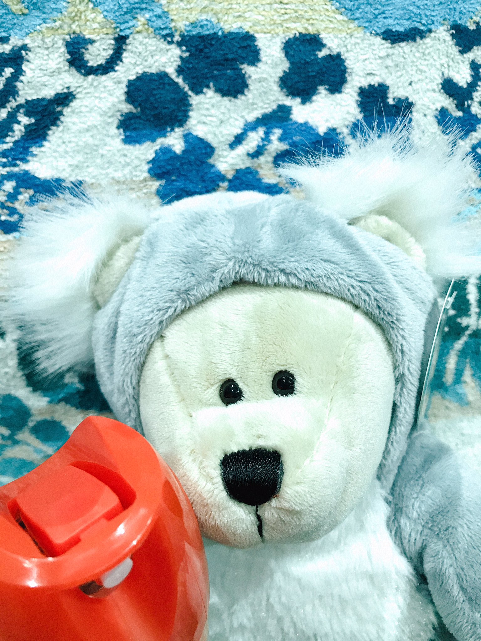 bearista - Search / X