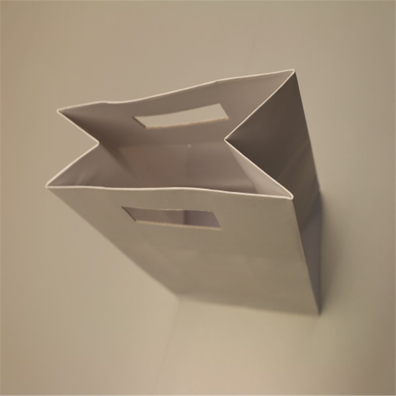 gianthopeprint1's tweet image. provides Giant Hope Packaging Paper Bag with Cut-out Handle in many specification. gianthopeprintpack.com/giant-hope-pac…   
 #Introductionmanual #Printedelectronicspackaging #Environmentallyfriendlyfoodpackaging