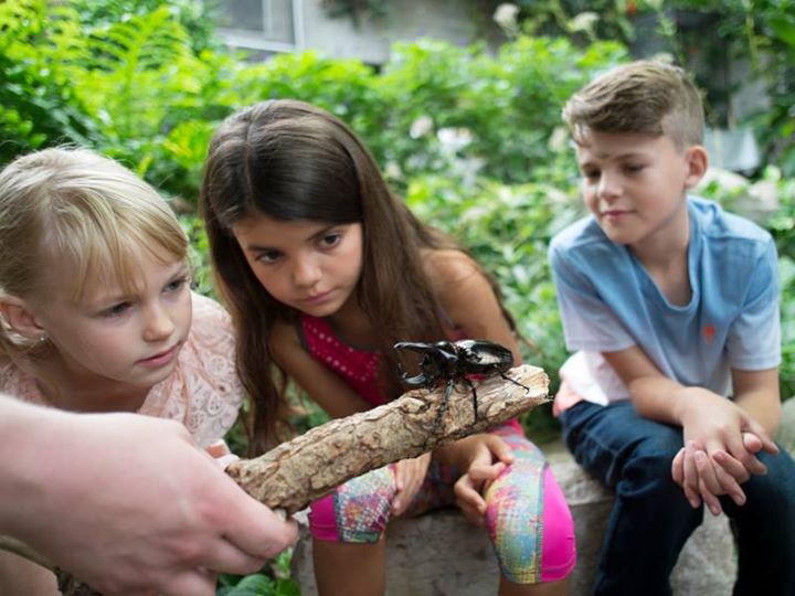 March Break is just around the corner and we have a list of activities that will keep the kids busy! Check it out ➡️ bit.ly/2ESYeMH #ExploreWR #KWAwesome #WaterlooRegion #MarchBreak