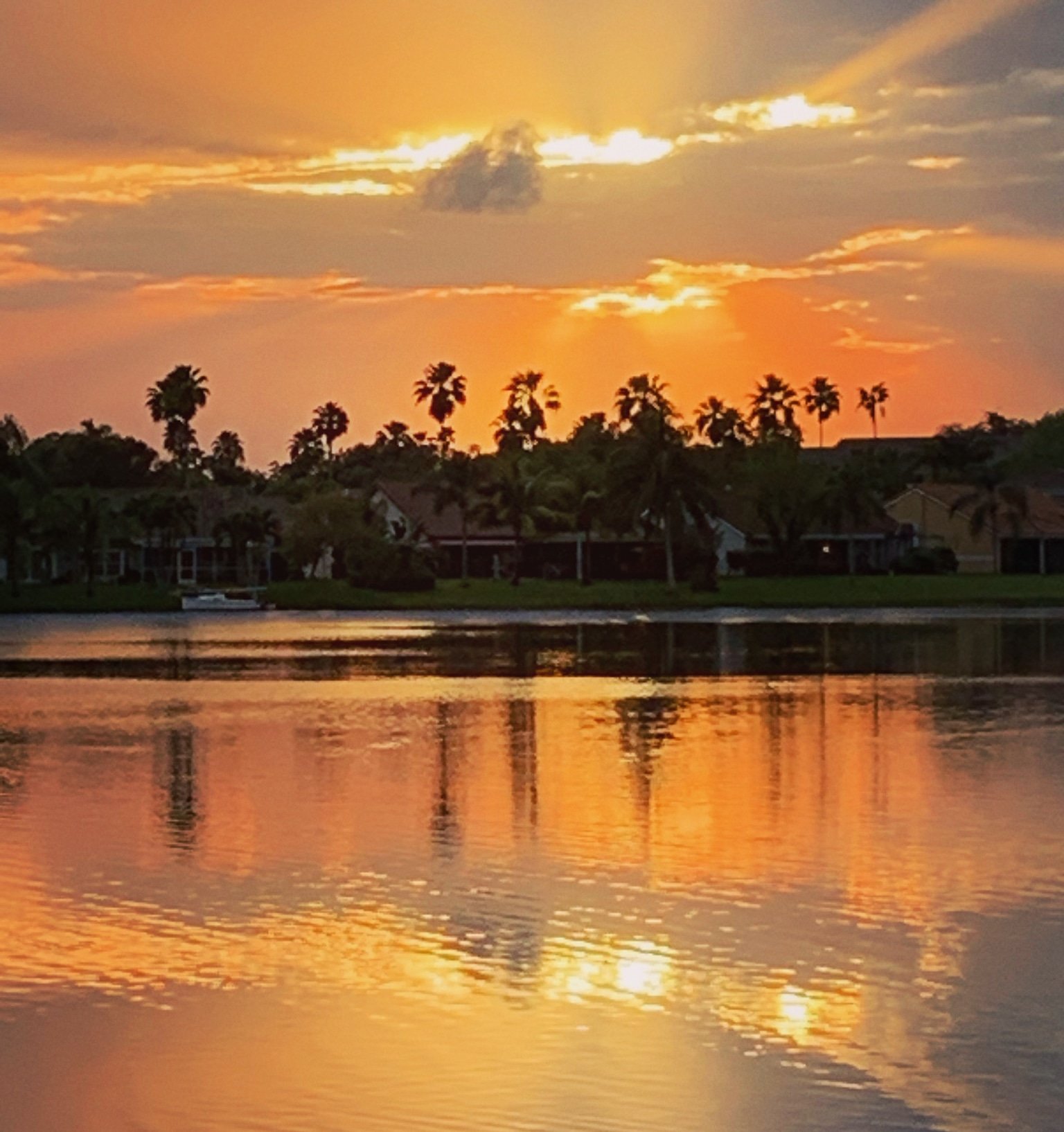 Wellington Parks & Recreation on Twitter sunset view over 