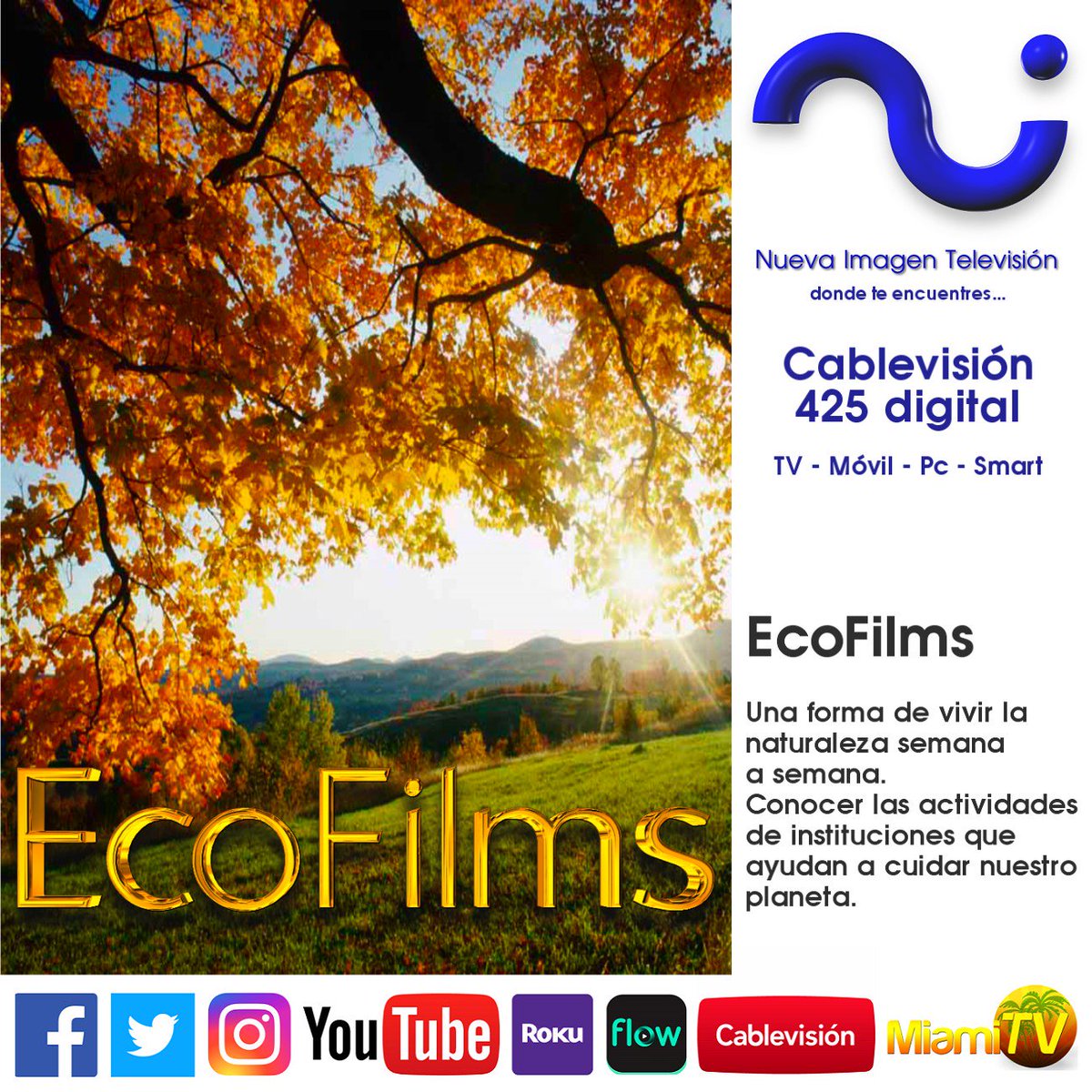 Nueva Imagen TV (@nuevaimagentv) on Twitter photo 