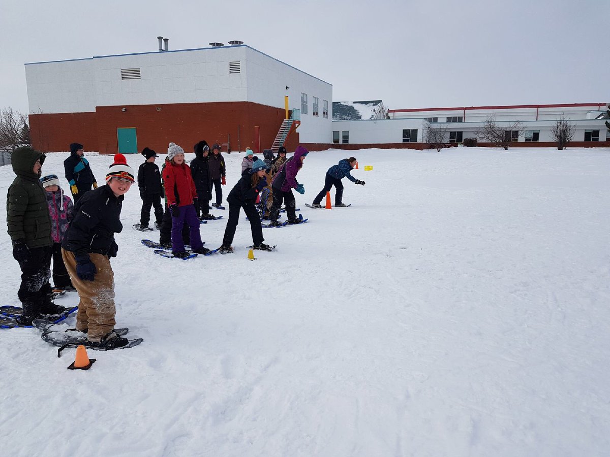 Consort School tweet media