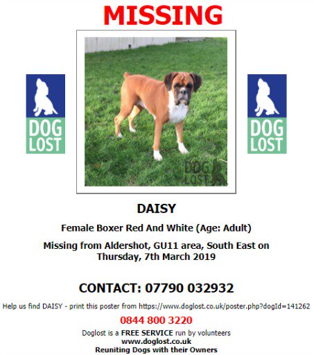 DogLostUK's tweet photo. #LOST #DOG DAISY
Female Red And White Adult #Boxer 
#Missing from #Aldershot #Hampshire #GU11
Thursday 7th March 2019
#ScanMe @SAMPAuk_ #LostDog @VetsGetScanning #DogLostUK

https://t.co/jqe3q3TjH3 https://t.co/2W7bWUMNQm