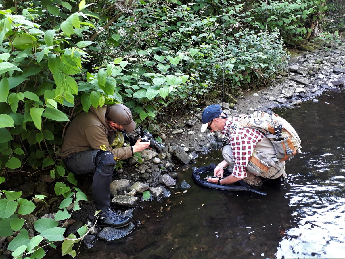 Fishing pals, if you're starting to plan your urban angling adventures this year, look no further than my curation of lots in this year's @WildTroutTrust auction... #WTTseasonofadventures #WTTauction 

urbantrout.net/the-wild-trout…