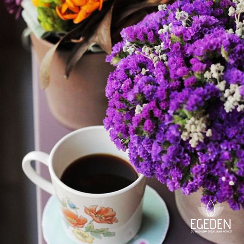egedentr's tweet photo. Haftasonu geldi ise keyif kahveleriniz Egeden'de olsun! 😉💜

#goodmorning #günaydın #kahve #kahvekeyfi #cumartesi #cumartesikeyfi #morning #saturday #life #love #TagsForLikes #TFLers #tweegram #photooftheday #20likes #amazing #smile #follow4follow #like4like #look #weekend https://t.co/QZXiqkBADh