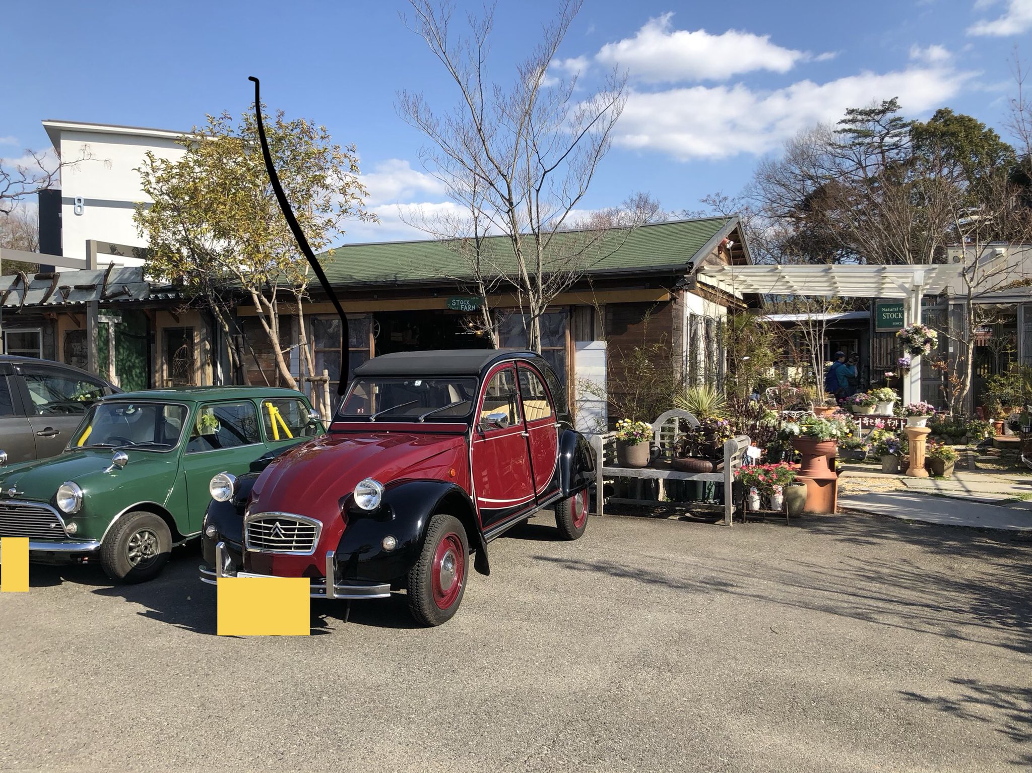 Msa ガーデニングのプロで 関西の番組 せやねんのスマイル工務店に何度か出演中の阪上社長 昔から大変お世話になっています 今回も 撮影に合わせて呼んでいただきました 車 ちらっとでも映るかなぁ笑 せやねん スマイル工務店 Msa ミニ ミニ