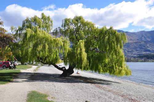 fh4f56g4h6sf4gh64sfgh4