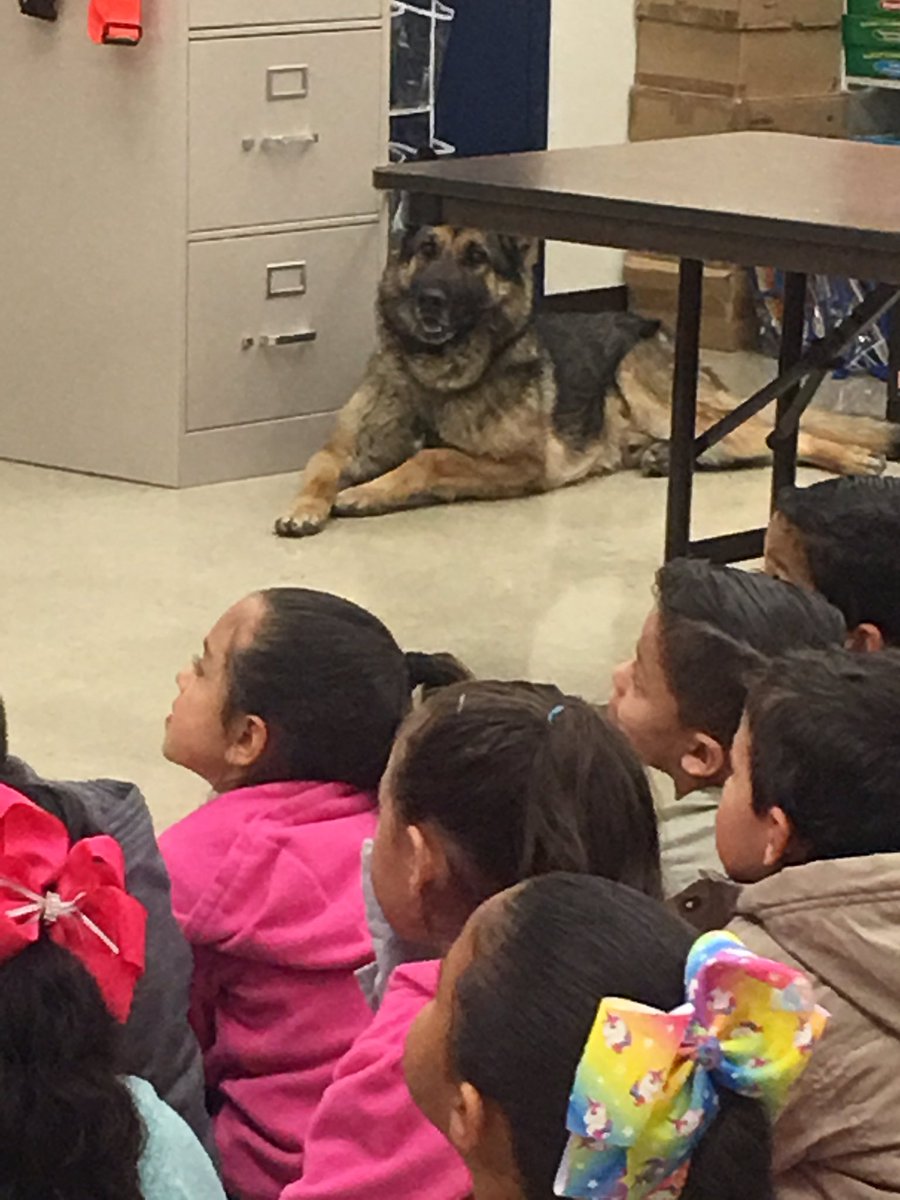 RiveraDual's tweet photo. Career Day  @RangersRivera https://t.co/t4F56cMIy3