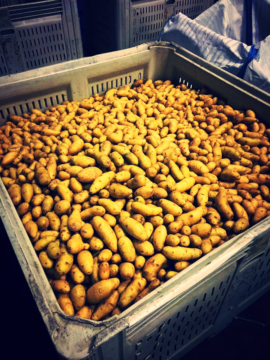 eduk8fla's tweet photo. Leadership St. Johns visited beautiful Blue Sky Farms in Elkton, Fl where, 4th generation owner and farmer, Danny Johns discussed potato farming and his conservation efforts. @yoursjcchamber https://t.co/sqaBAuuV4O https://t.co/39DvzjzxsP