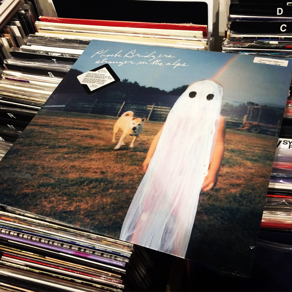 Albumism's tweet photo. In our shopping bag at @TurntableLab/@TurntableLabNYC this evening: #PhoebeBridgers’ debut album ‘Stranger in the Alps’ (2017) @phoebe_bridgers @DeadOceans #EveryDayIsRecordStoreDay #SupportYourLocalRecordStores #BuyMoreRecords https://t.co/MX2gwmrg9l